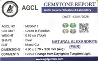 0.85cts Natural Alexandrite Pair - Benny's Gems Creations