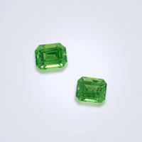 0.88ct Tsavorite Pair - Benny's Gems Creations
