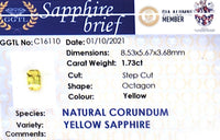 1.73CTS Vivid Yellow Sapphire - Benny's Gems Creations