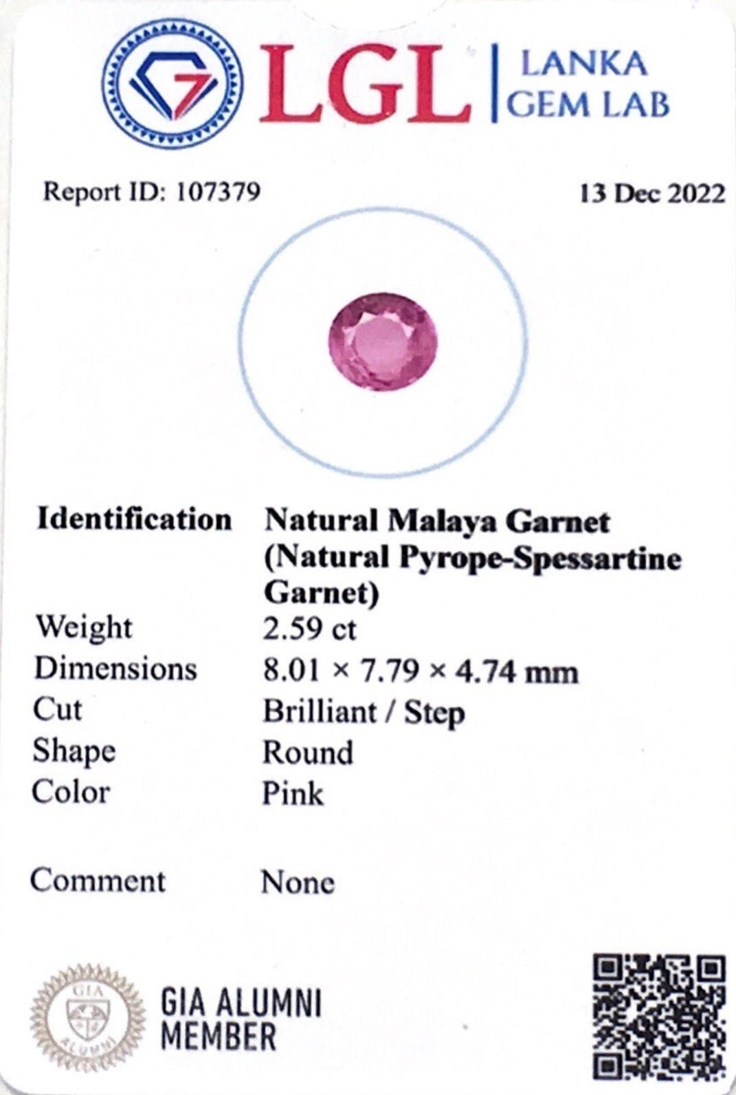 2.59CTS Malayan Garnet - Benny's Gems Creations