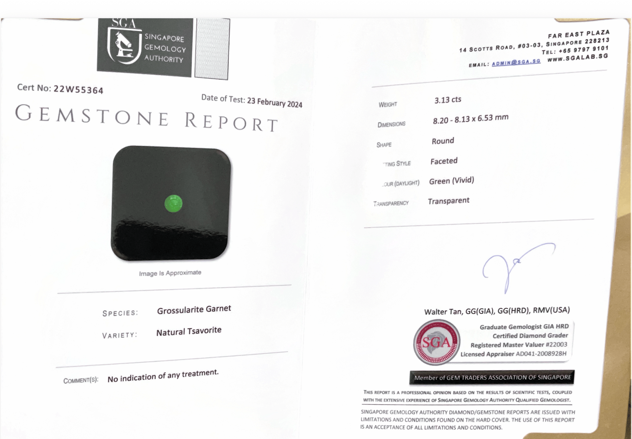 3.13CTS Vivid Green Tsavorite - Benny's Gems Creations