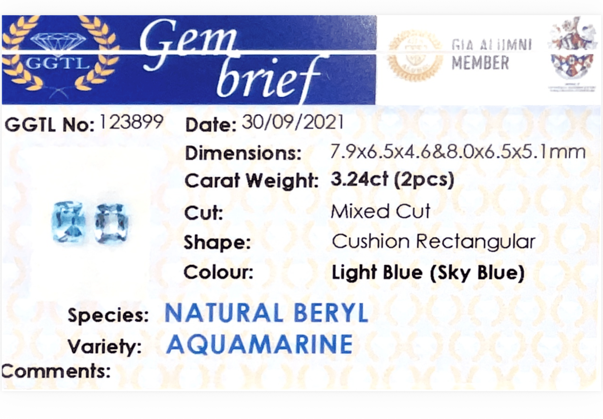 3.24CTS Aquamarine Pair - Benny's Gems Creations