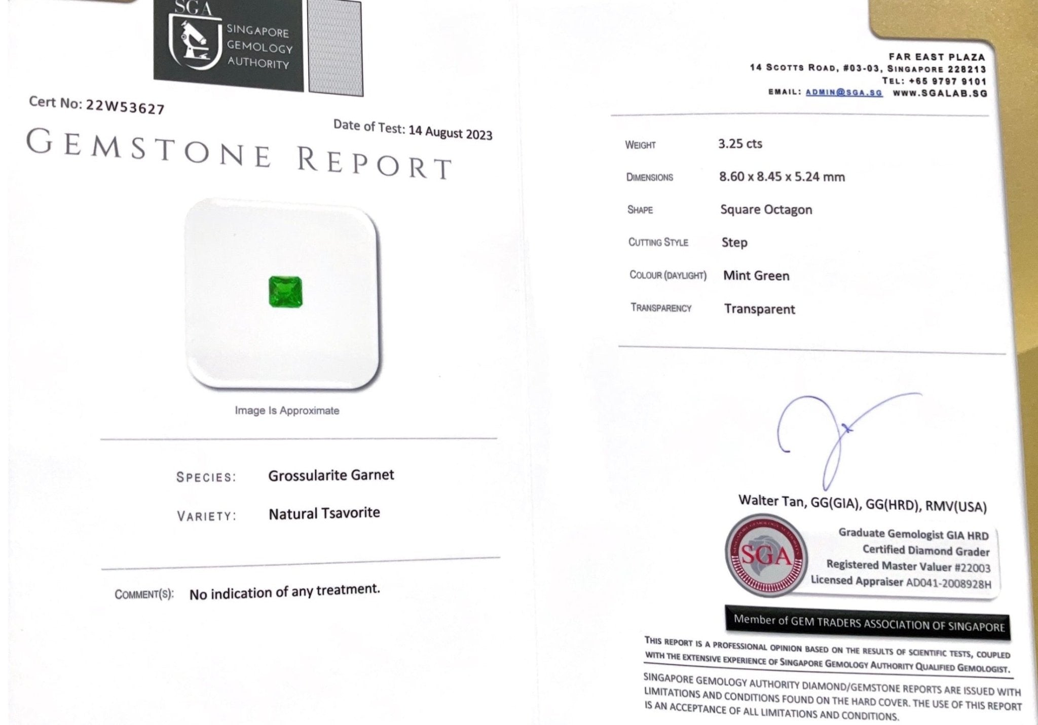3.25CTS Mint Green Tsavorite - Benny's Gems Creations