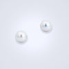 Silvery White South Sea Pearl Earrings
