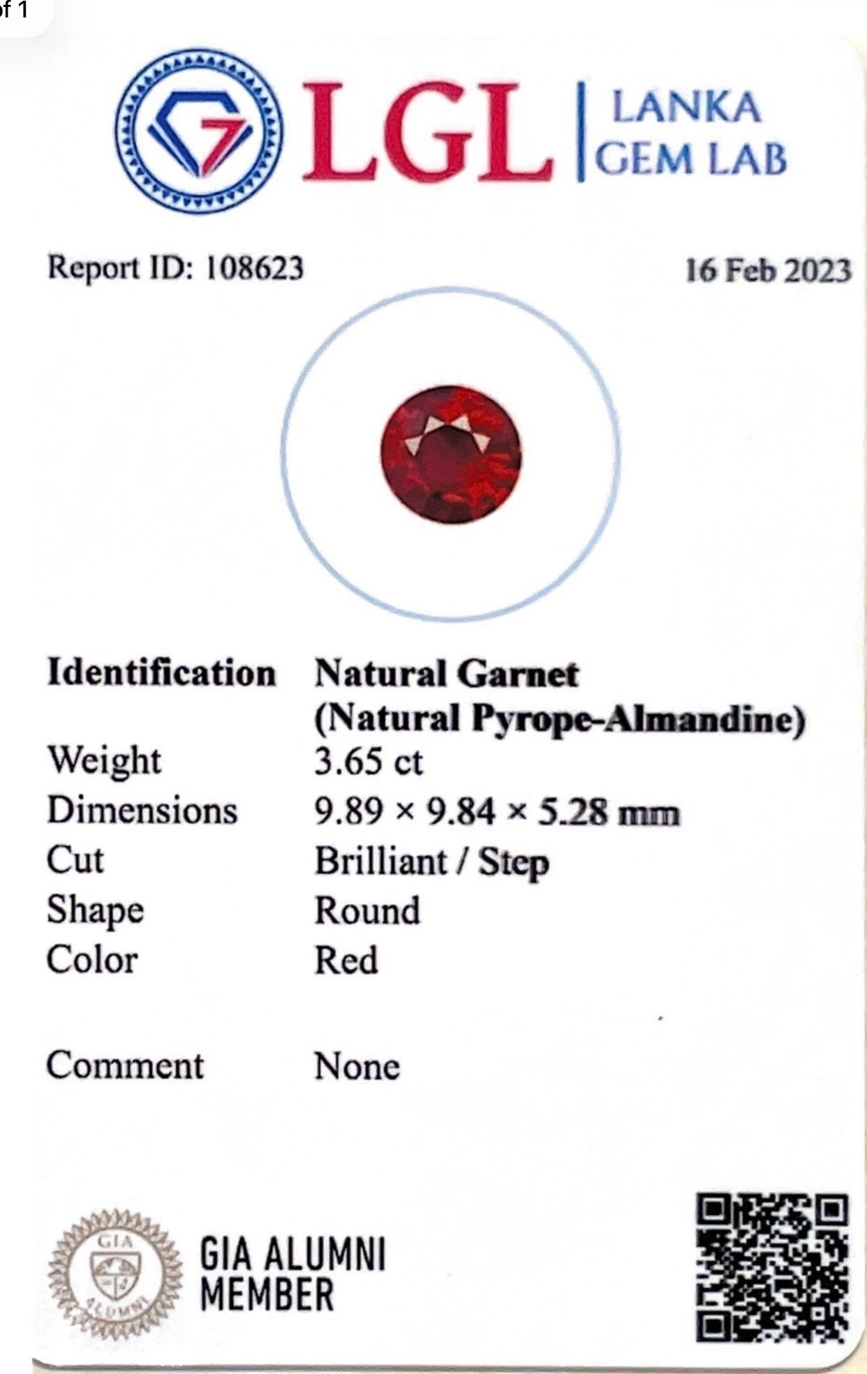 3.65CTS Natural Garnet - Benny's Gems Creations