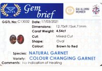 4.54CTS Colour - Changing Garnet - Benny's Gems Creations