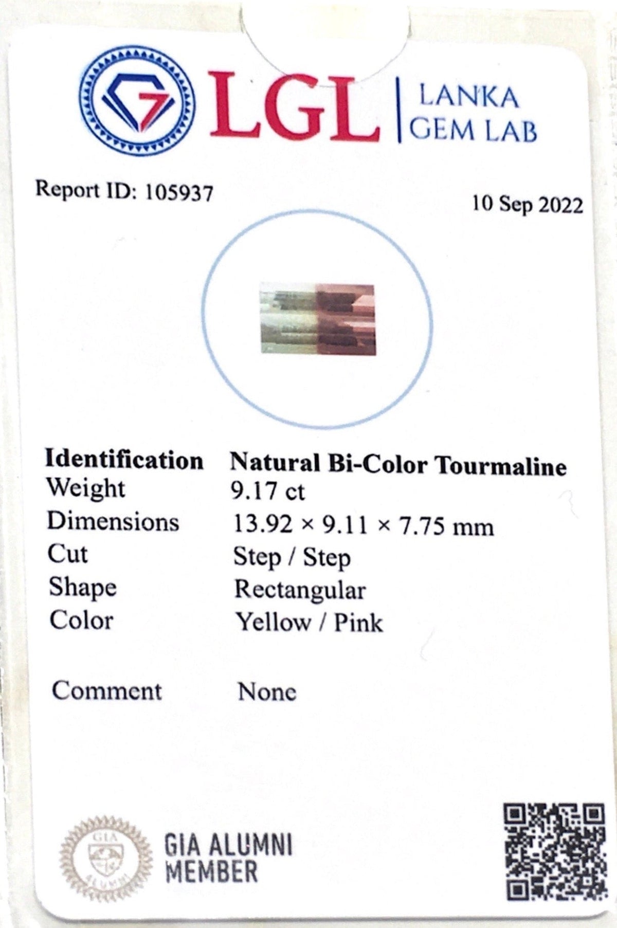 9.17CTS Natural Bicolour Tourmaline - Benny's Gems Creations