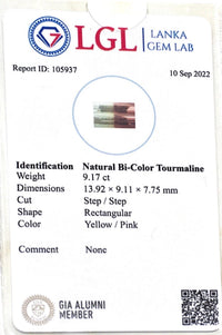 9.17CTS Natural Bicolour Tourmaline - Benny's Gems Creations