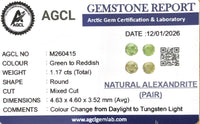 1.17Cts Natural Alexandrite Pair - Benny's Gems Creations