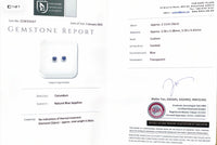 Classic Cushion Sapphire Diamond Earrings - Benny's Gems Creations