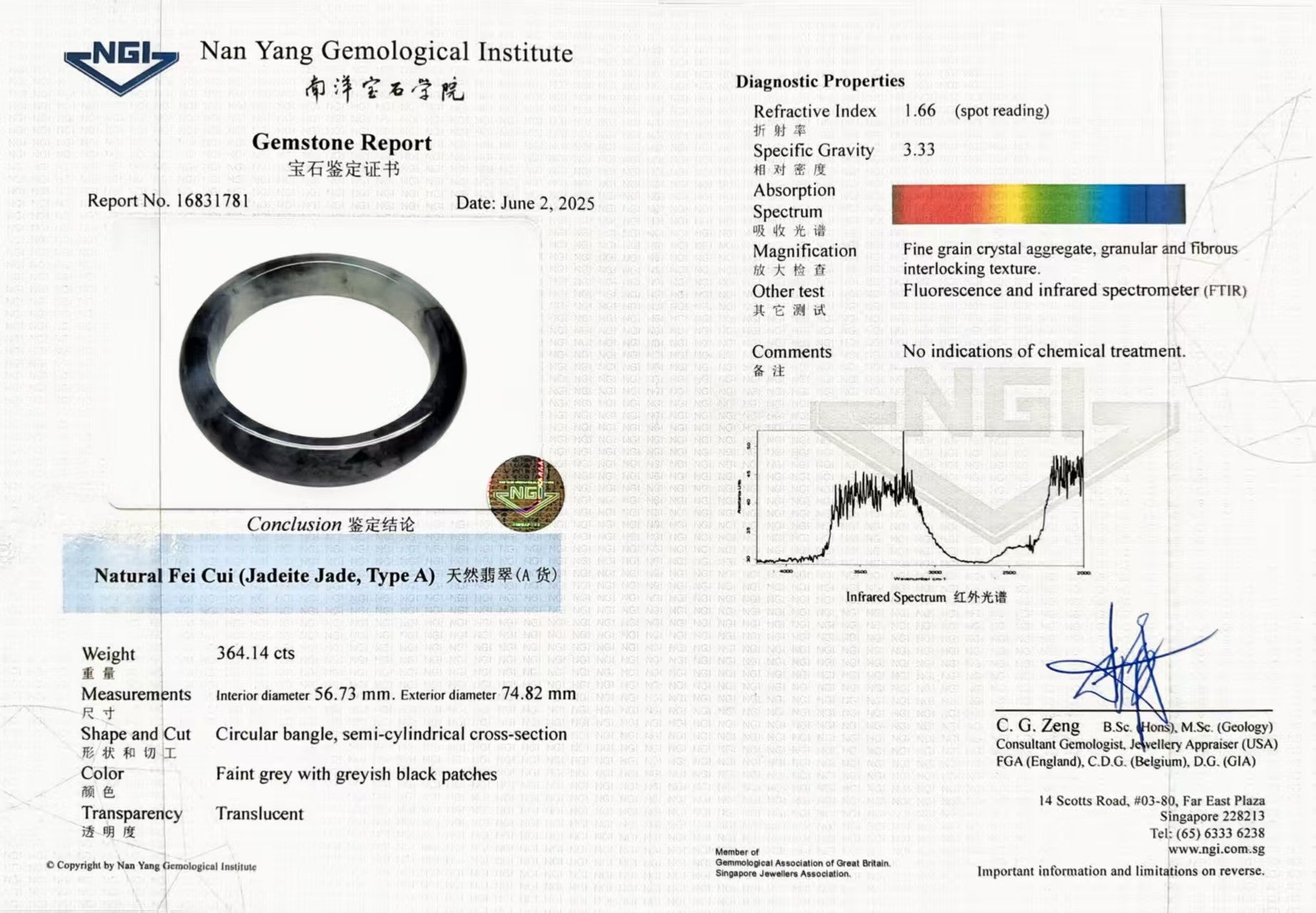 Icy Black Jadeite Bangle - Benny's Gems Creations