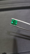 3.99CTS Vivid Green Colombian Emerald